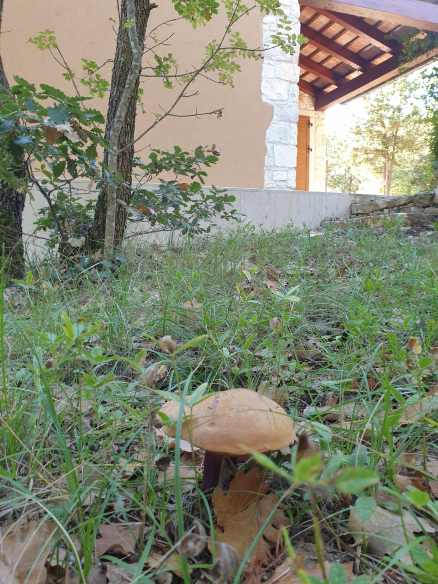 Villa Valeria Divšići Εξωτερικό φωτογραφία